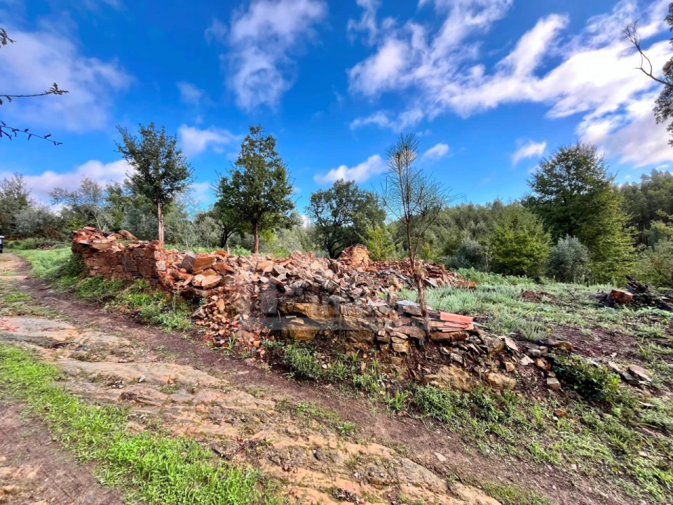 Terreno para Venda em Graça Foto 15