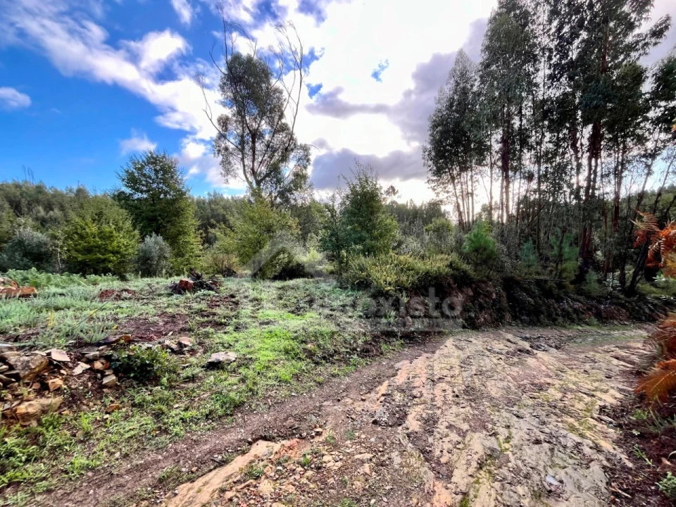 Terreno para Venda em Graça Foto 16