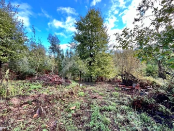 Terreno para Venda em Graça