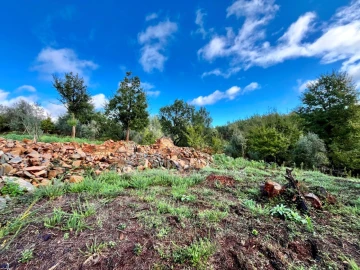 Terreno para Venda em Graça