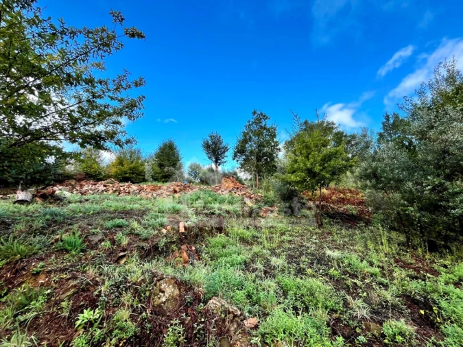 Terreno para Venda em Graça Foto 7