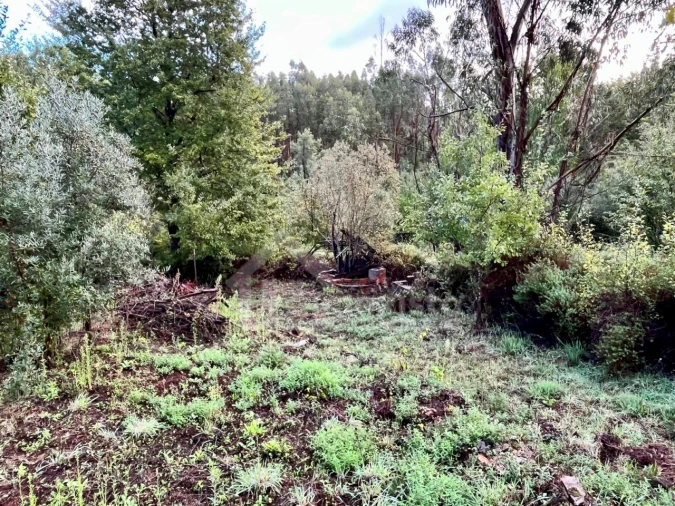 Terreno para Venda em Graça Foto 8