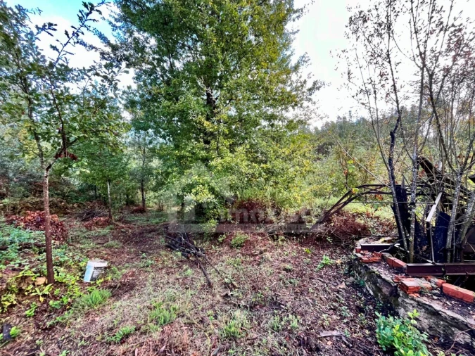 Terreno para Venda em Graça Foto 10