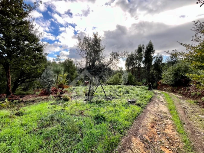 Terreno para Venda em Graça Foto 17