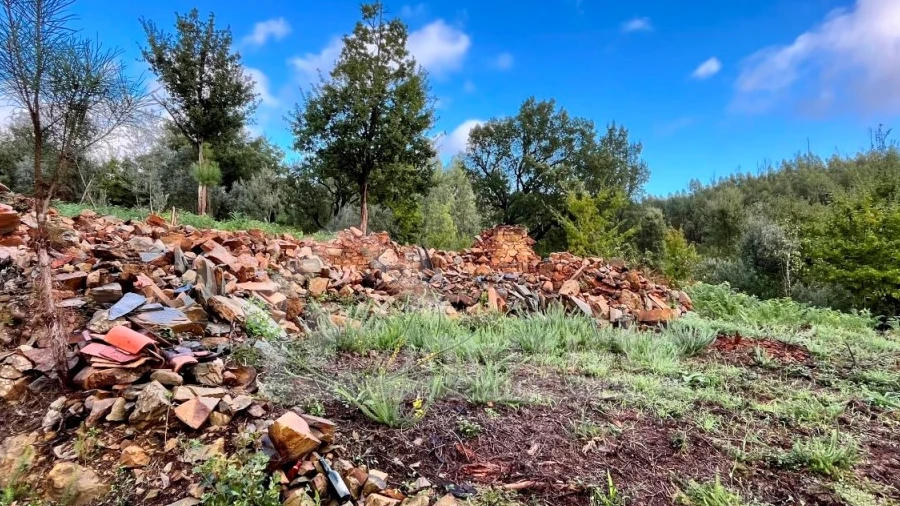 Terreno para Venda em Graça