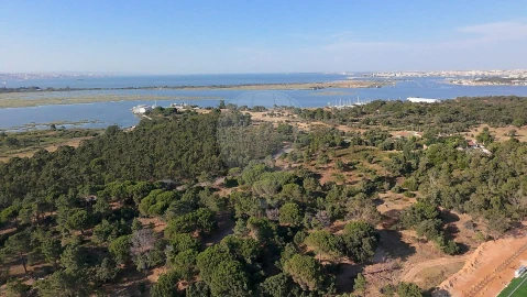 Apartamento T2 para Venda em Amora