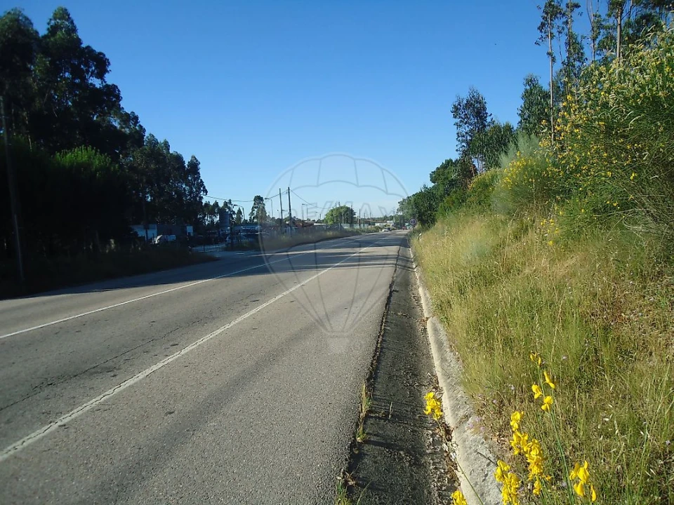 Terreno para Venda em Evora de Alcobaça Foto 4