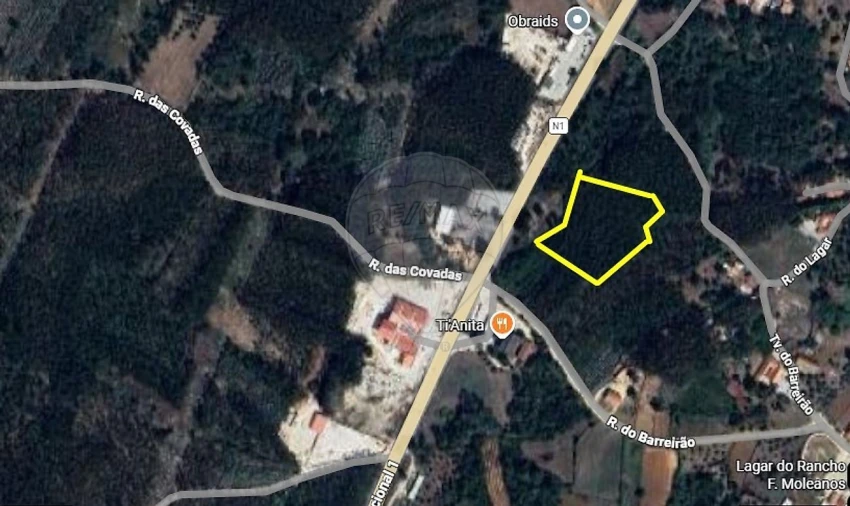 Terreno para Venda em Evora de Alcobaça Foto 5