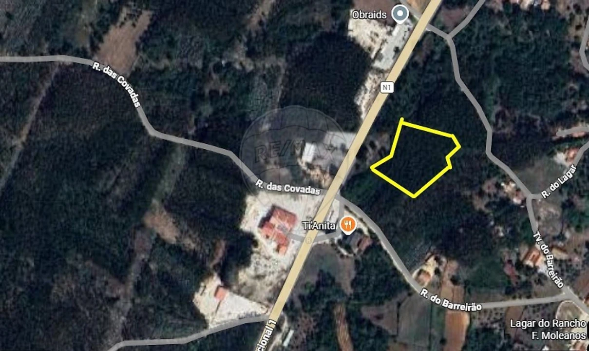 Terreno para Venda em Evora de Alcobaça Foto 5