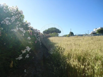 Moradia T1 para Venda em Cela