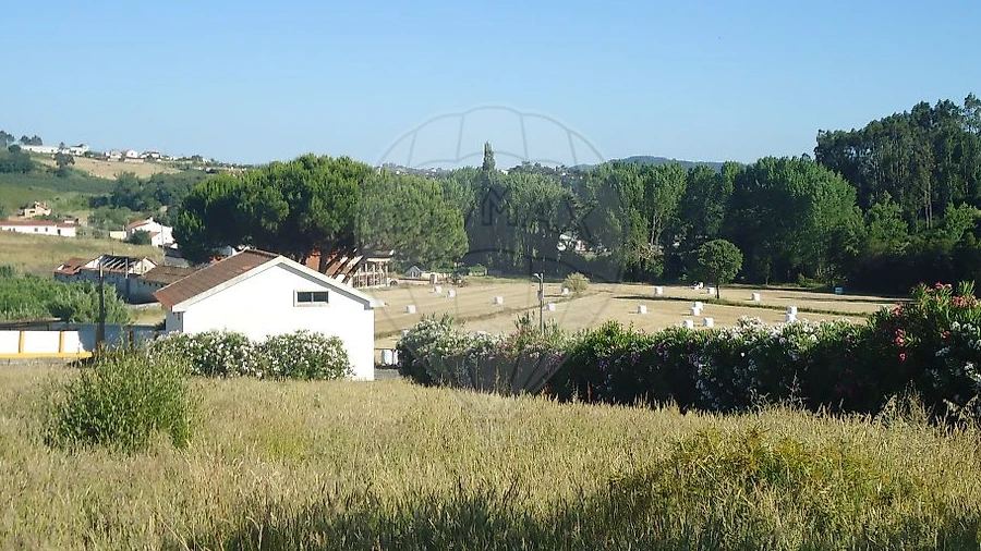 Moradia T1 para Venda em Cela