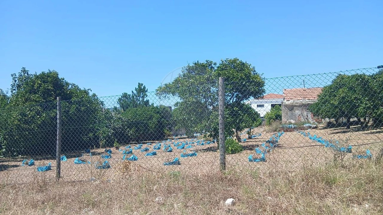 Terreno para Venda em Rio Maior Foto 16