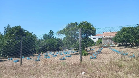 Terreno para Venda em Rio Maior
