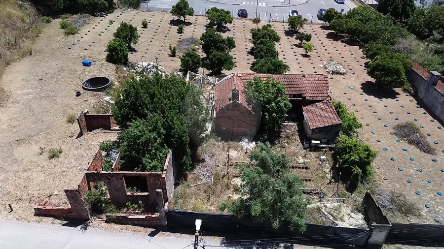 Terreno para Venda em Rio Maior Foto 9