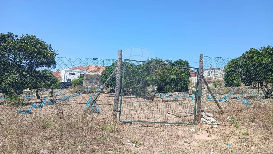 Terreno para Venda em Rio Maior Foto 14