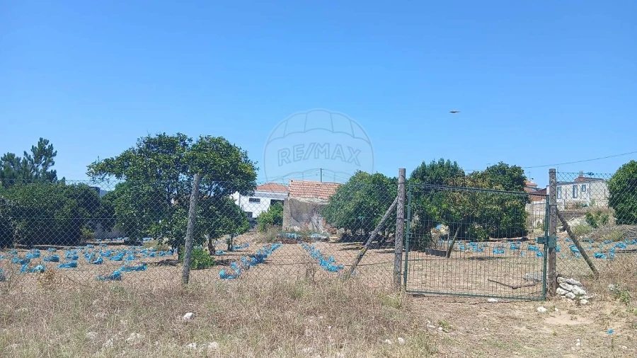 Terreno para Venda em Rio Maior Foto 11
