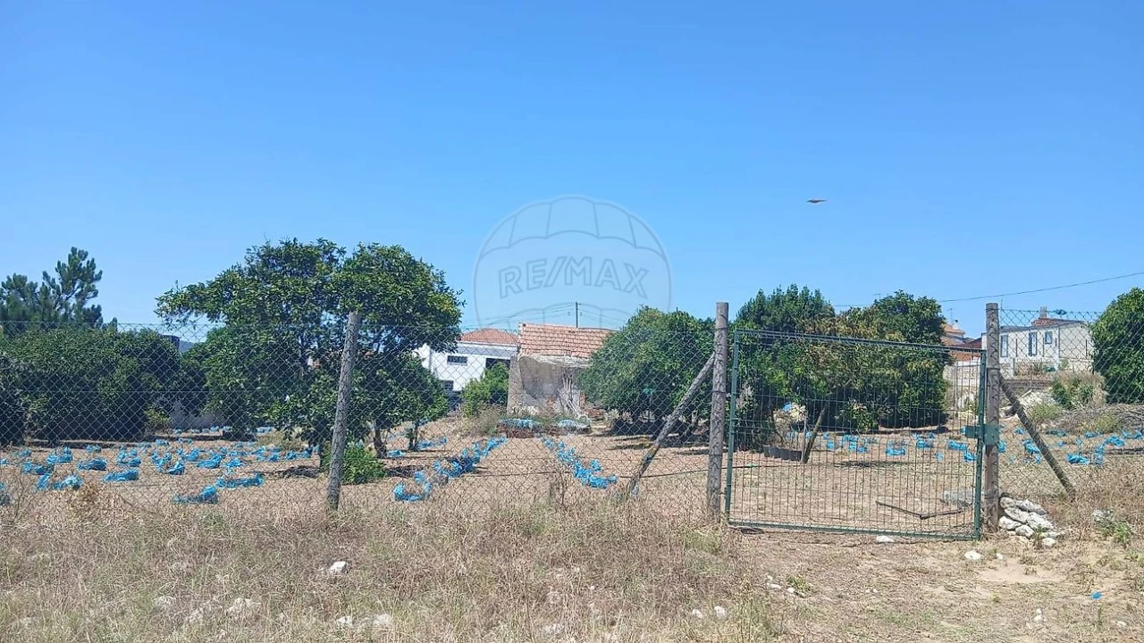 Terreno para Venda em Rio Maior Foto 11