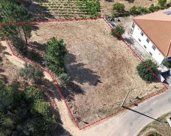 Terreno para Venda em Belver