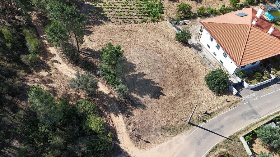 Terreno para Venda em Belver Foto 2