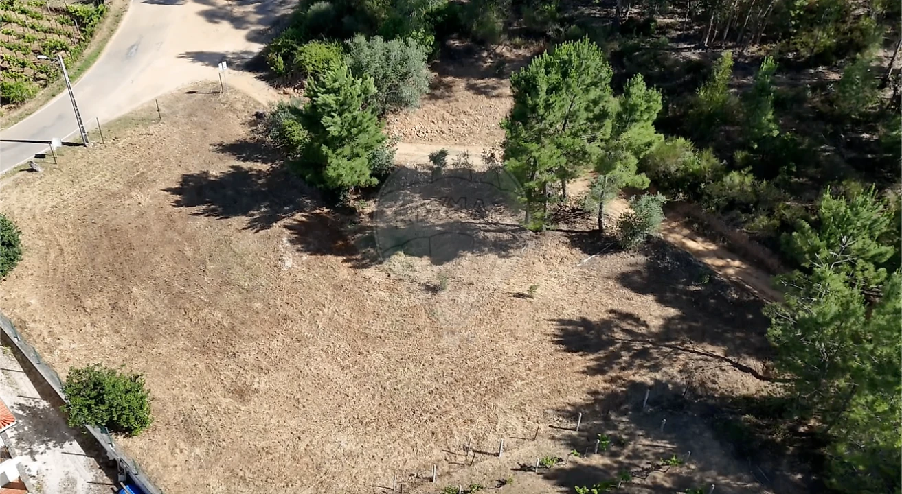 Terreno para Venda em Belver Foto 3