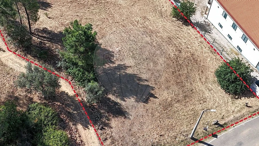Terreno para Venda em Belver