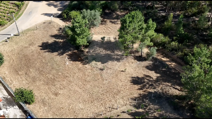 Terreno para Venda em Belver