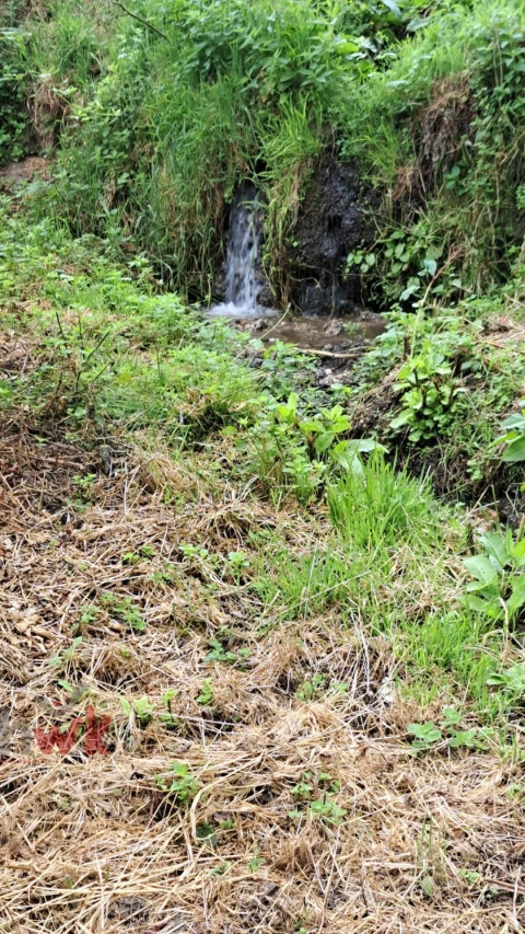 Moradia T1 para Venda em São Gião