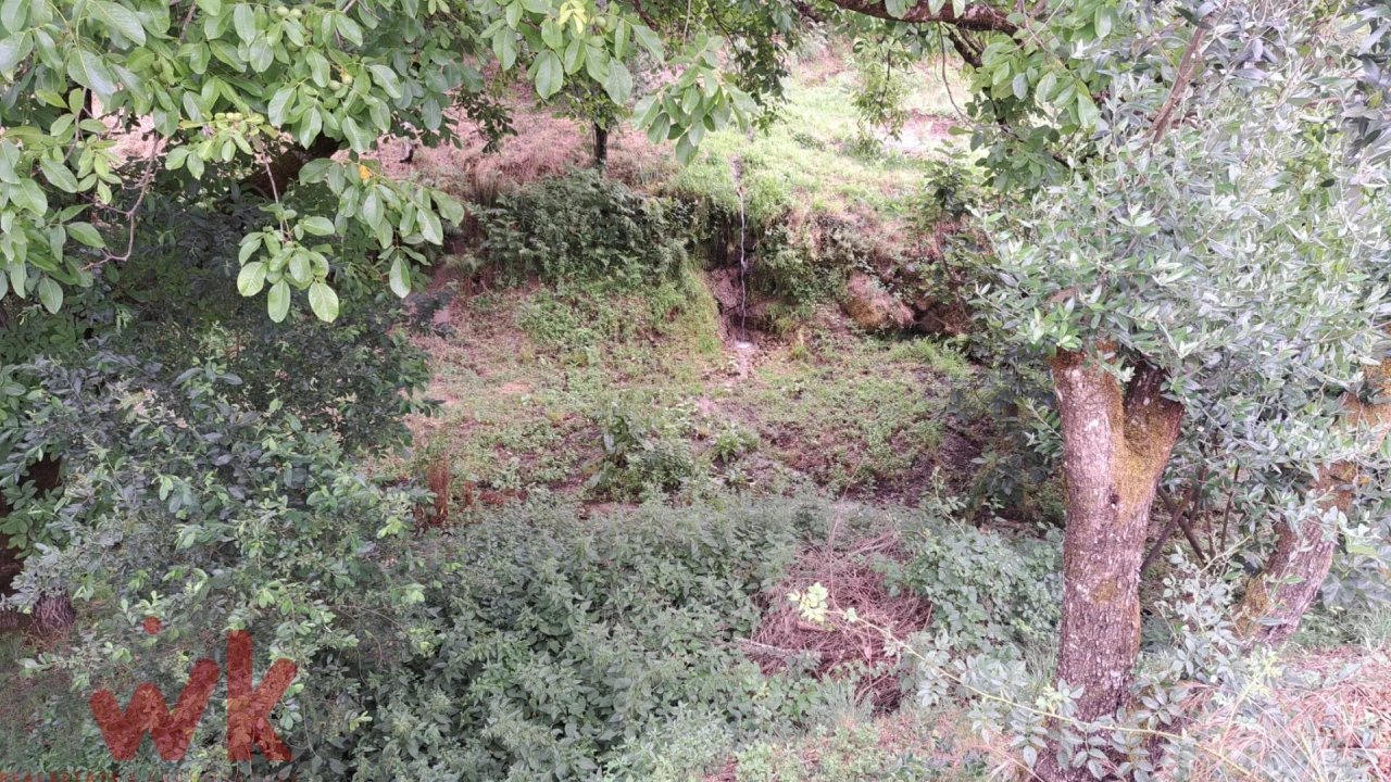 Moradia T1 para Venda em São Gião Foto 28
