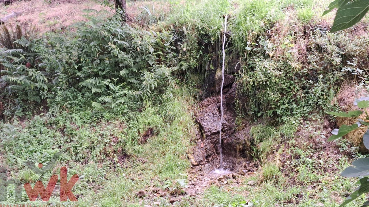 Moradia T1 para Venda em São Gião Foto 29