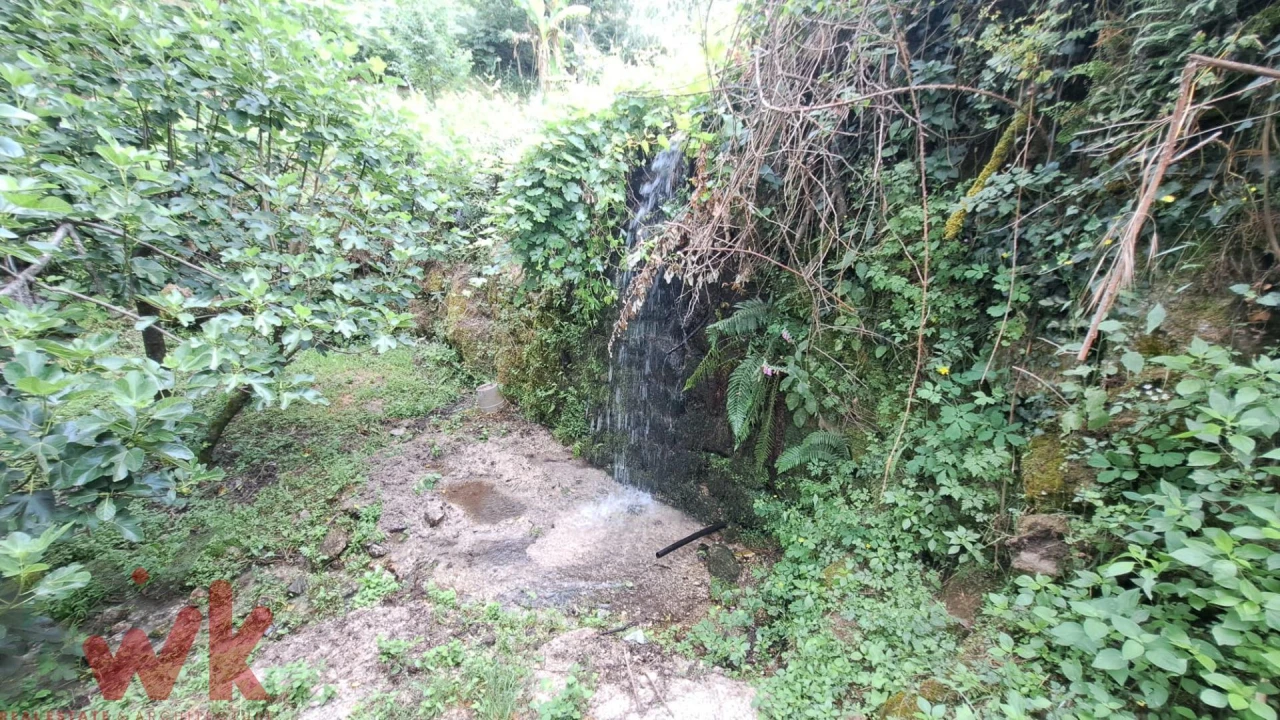 Moradia T1 para Venda em São Gião Foto 30