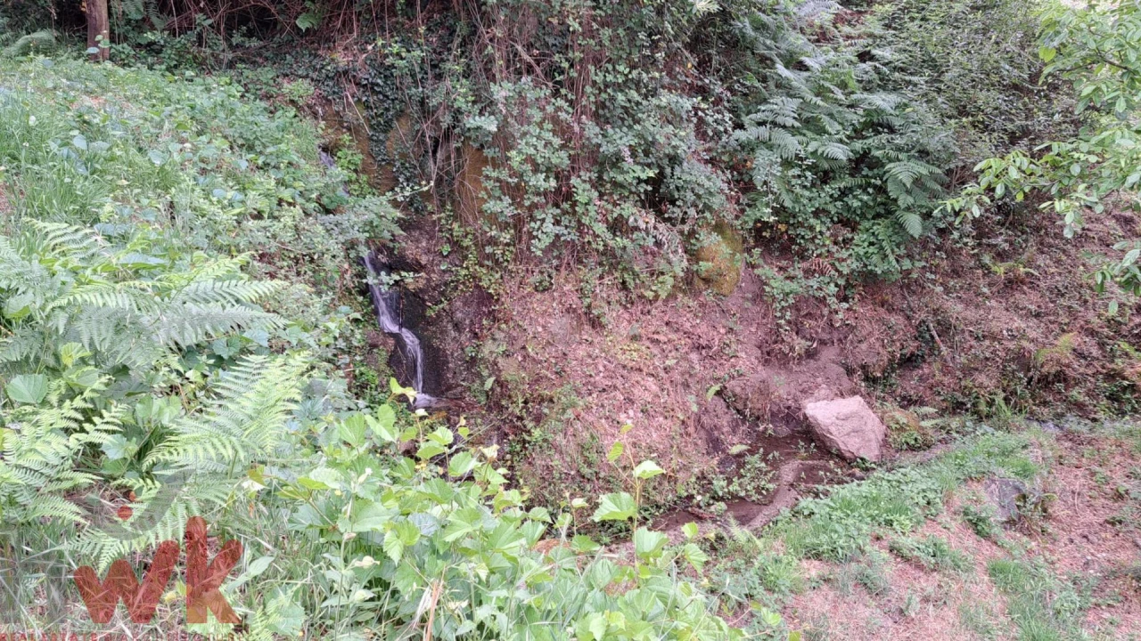 Moradia T1 para Venda em São Gião Foto 33