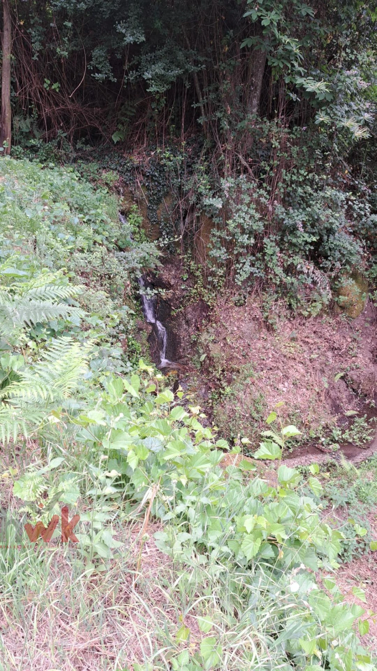 Moradia T1 para Venda em São Gião Foto 35