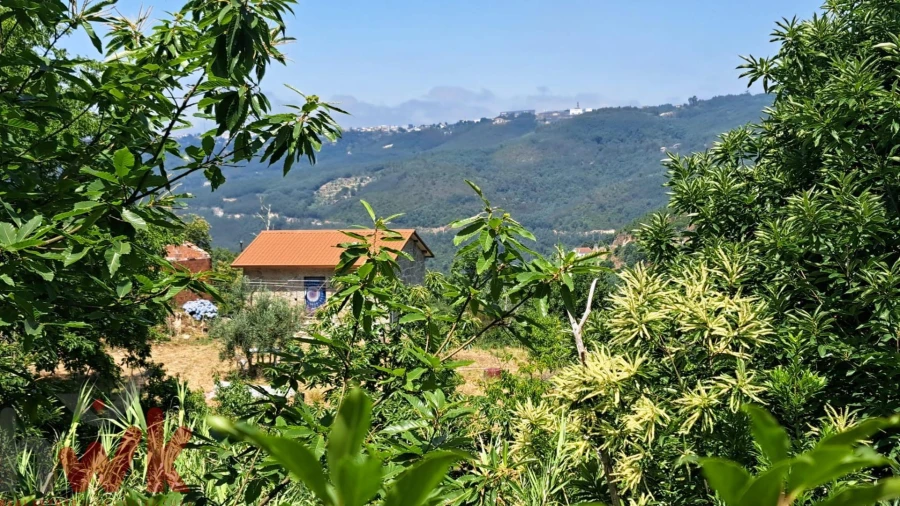 Moradia T1 para Venda em São Gião Foto 11