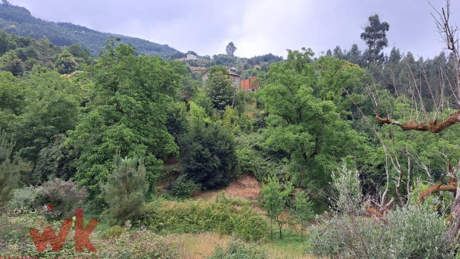 Moradia T1 para Venda em São Gião Foto 39