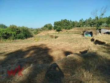 Moradia T1 para Venda em Ázere e Covelo