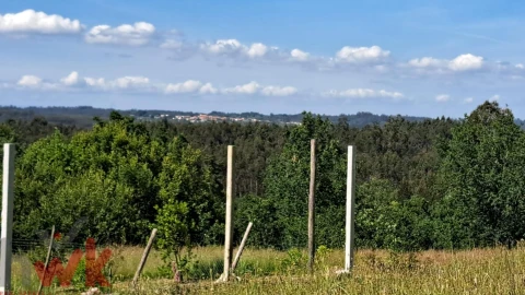 Moradia T1 para Venda em Ázere e Covelo