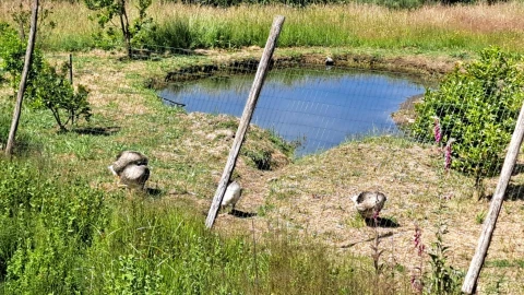 Moradia T1 para Venda em Ázere e Covelo