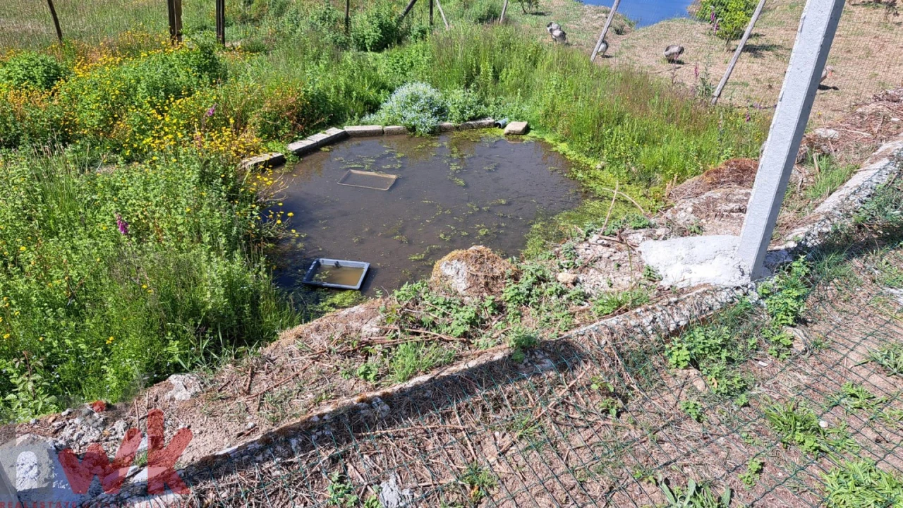 Moradia T1 para Venda em Ázere e Covelo Foto 10