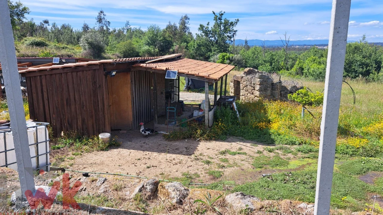 Moradia T1 para Venda em Ázere e Covelo Foto 17