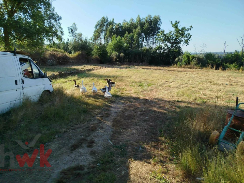 Moradia T1 para Venda em Ázere e Covelo Foto 27