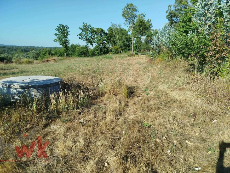 Moradia T1 para Venda em Ázere e Covelo Foto 32