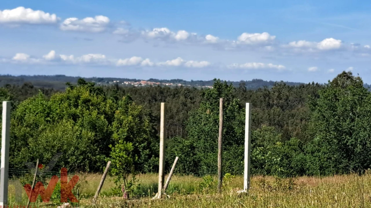 Moradia T1 para Venda em Ázere e Covelo Foto 35