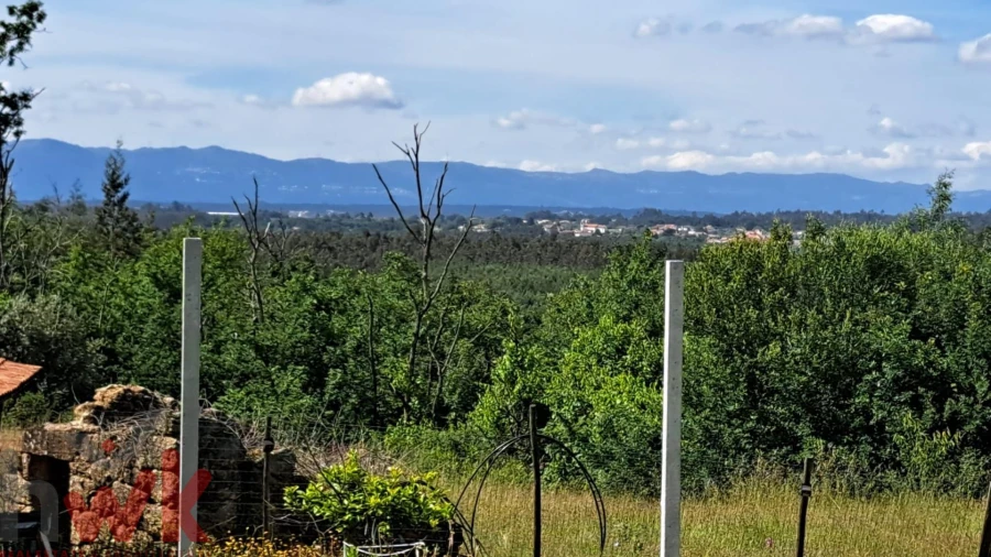 Moradia T1 para Venda em Ázere e Covelo Foto 34