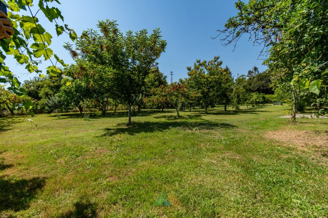 Moradia T4 para Venda em Arcozelo Foto 58