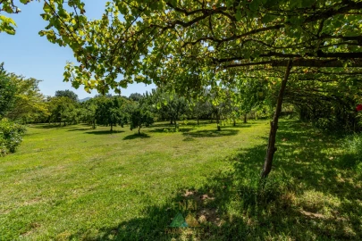 Moradia T4 para Venda em Arcozelo