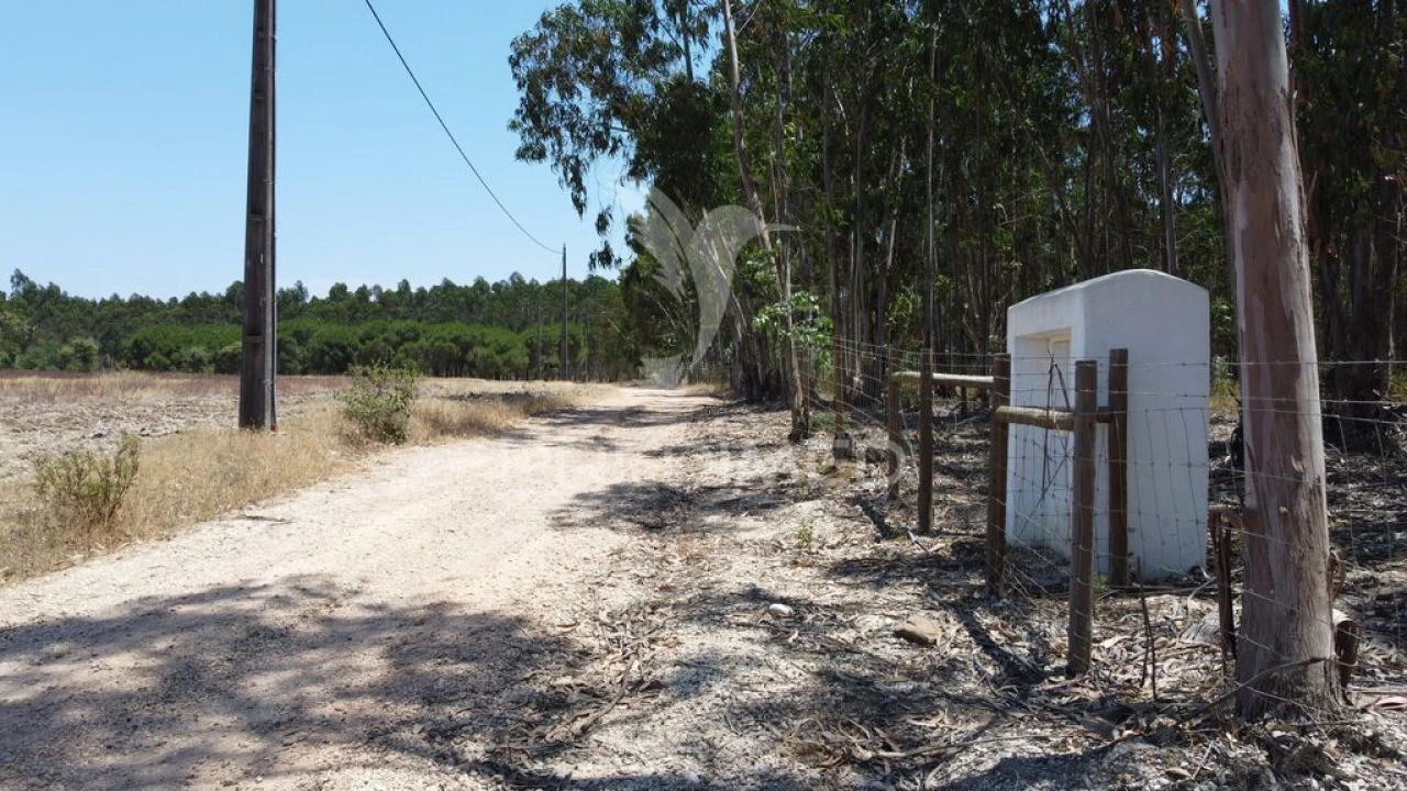 Quinta para Venda em São Salvador e Santa Maria Foto 14