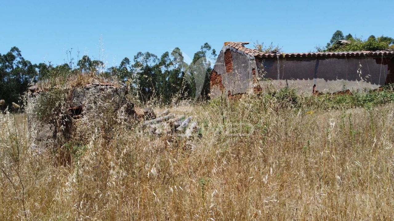 Quinta para Venda em São Salvador e Santa Maria Foto 4