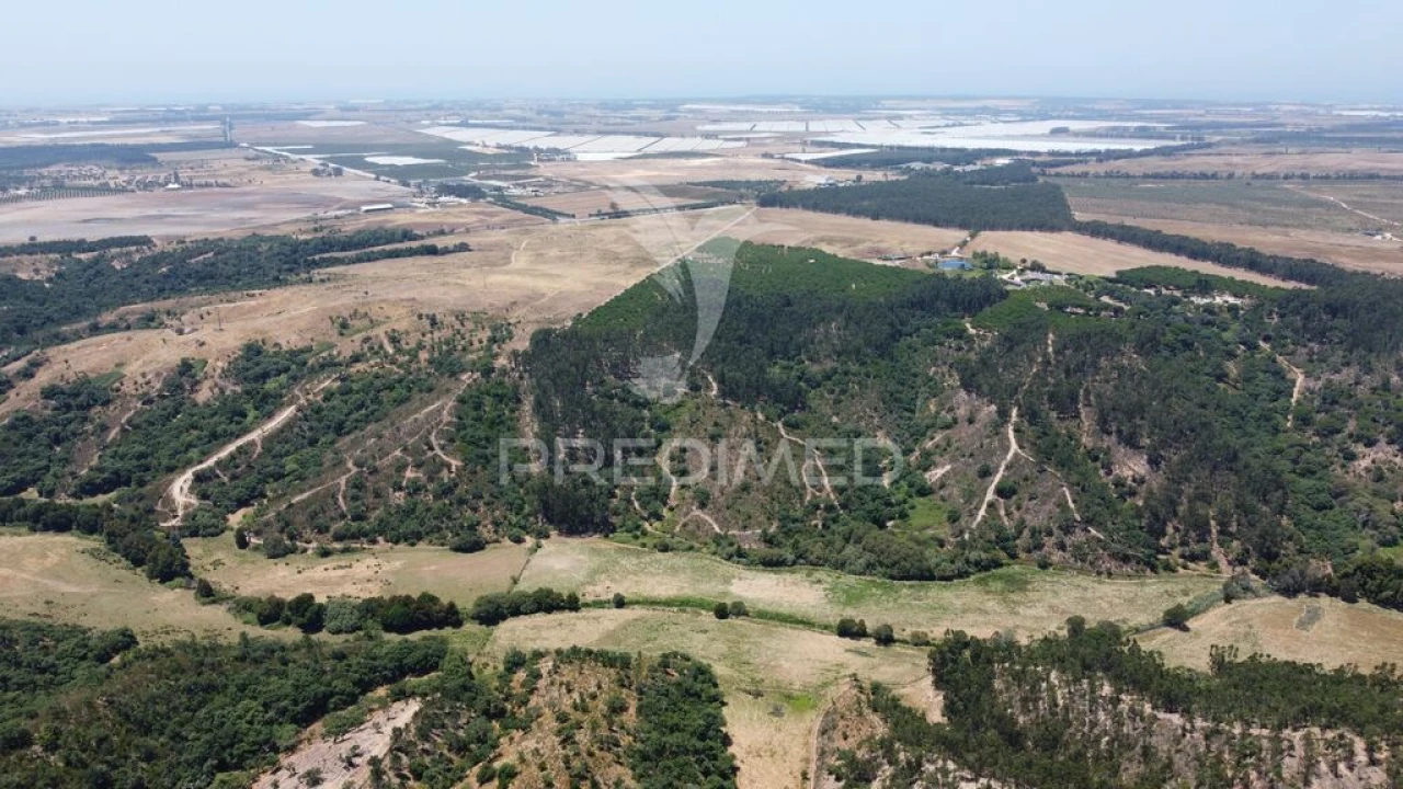 Quinta para Venda em São Salvador e Santa Maria Foto 17