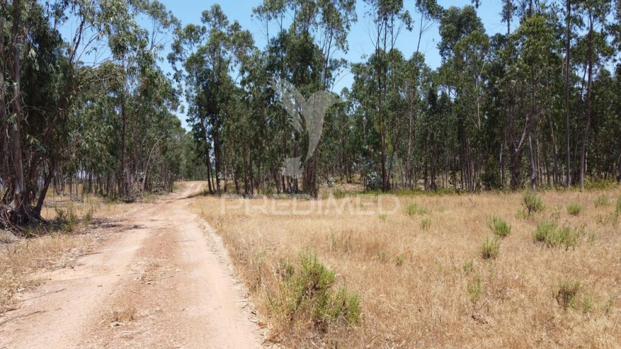 Quinta para Venda em São Salvador e Santa Maria Foto 8