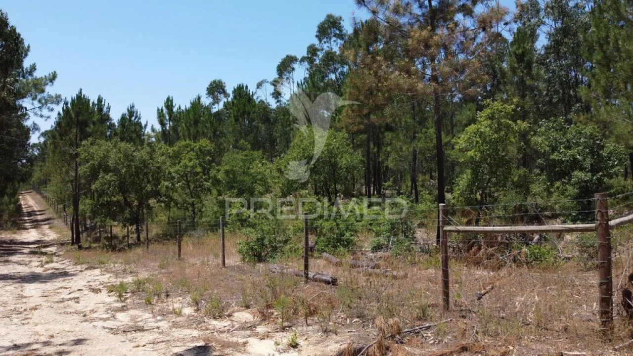 Quinta para Venda em São Salvador e Santa Maria Foto 15